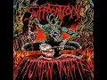 Download Lagu Suffocation - Infecting The Crypts