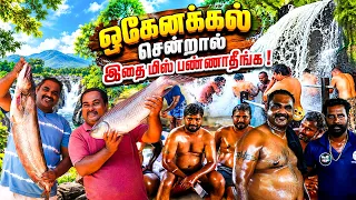 இந்த அருவி பார்த்ததும் எல்லா Stress-ம் போச்சு! | Hogenakkal Trip | WFT Vlog