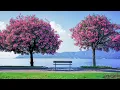 Download Lagu Feel the peace with this relaxing music 🌿 Gentle sounds to relieve worries