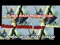 Download Lagu suara pikat prenjak ribut paling ampuh liyaran langsung nyambar