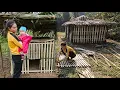 Download Lagu TIMELAPSE: 20 days of single mother building chicken coop, building wood stove with clay