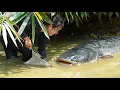 Catching 2000+ Giant Wild Catfish \u0026 Carp by Hand in Mud Pond to Sell at the Market with my Children