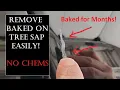 Easiest Way to Safely Remove Baked on Tree Sap