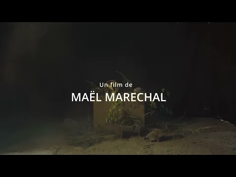 Succession - Teaser
