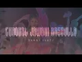 Chadhal Jawani Rasgulla - Neelkamal singh, Shilpi Raj, Kalapna | Old vs New Mashup | Sahni beatz