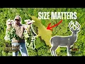 What Size Food Plot Bucks Actually Prefer w MSU Deer Lab