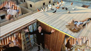 I Picked All The Pigeons From Under The People Look What The Pigeons Did 