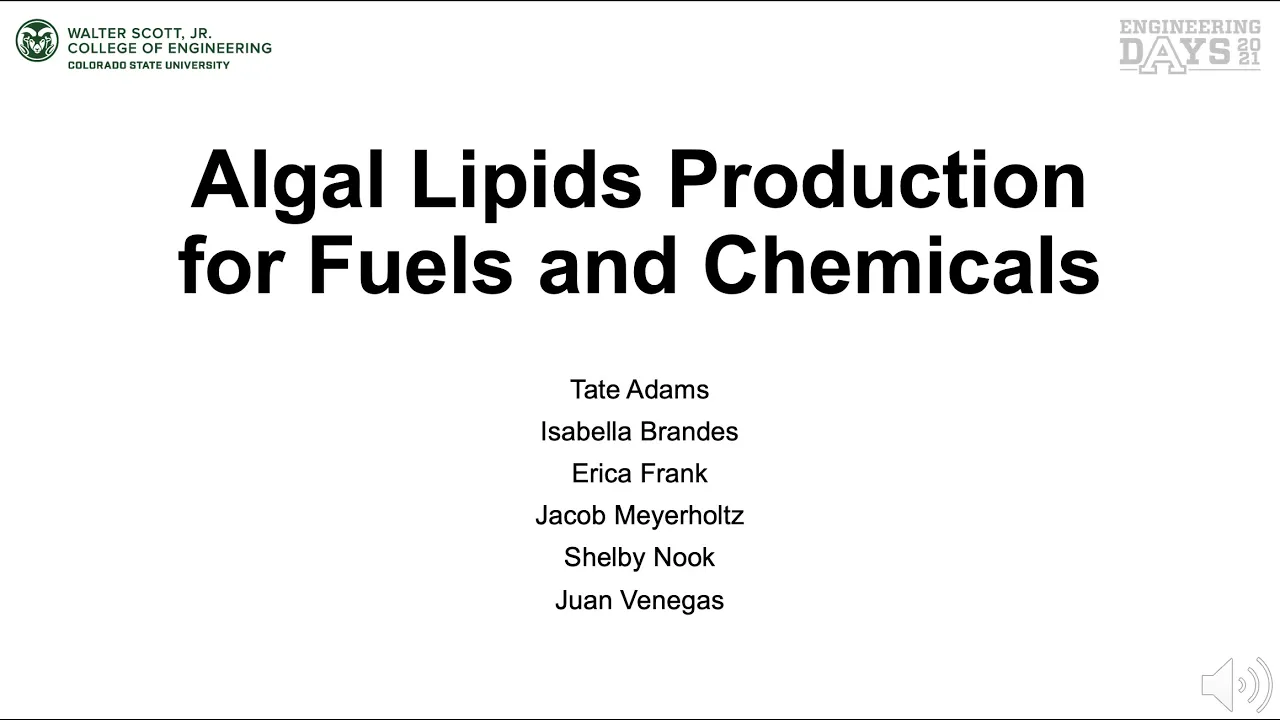 Algal lipid production