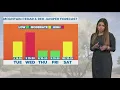 DFW Weather Combined pollen seasons adding onto allergies