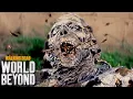 Video di Not The Bees! The Walking Dead World Beyond Trailer
