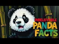 Uncommon Panda Facts You ve Never Heard Before UncommonKnowledge