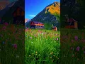 Download Lagu Place Like Haven_Viral Dance Music Reels Video 2024 | TikTok Viral Reels