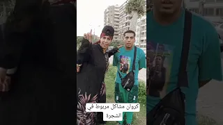 كروان مشاكل مربوط في شجرة فيديوهات مقاطع ابداع مضحك مقاطع مضحكة مواقف مضحكه ابداعات 