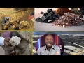 Download Lagu Matyè sa yo peyi ap goumen pou yo  san yo  menm telefon nan menw lan ap gen pwoblèm