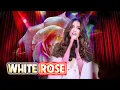 Download Lagu Hoàng Thiên Nga | White Rose biểu diễn tại sân khấu San Jose 2023