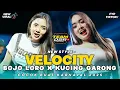 Download Lagu DJ VELOCITY BOJO LORO x KUCING GARONG VIRAL TIKTOK❗FULL BASS TERBARU