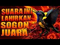 Lagu Suara Ini Lahirkan Sogon Juara - Masteran Sogok Ontong Premium Paling Dicari Pecinta Burung Elite 
