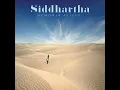 Película (Cap. 3)