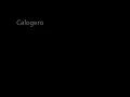 Calogero & La Grande Sophie - Du Courage [Live 1.0] - Basse