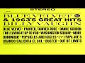 Lagu Billy Vaughn   Blue Velvet \u0026 1963's Great Hits 1963 GMB