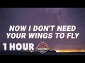 Download Lagu [ 1 HOUR ] Cash Cash -  Now i don't need your wings to fly Hero (Lyrics) feat Christina Perri