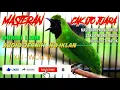 Download Lagu MASTERAN CAK IJO JUARA | FULL TEMBAKAN | DURASI 1 JAM NO IKLAN
