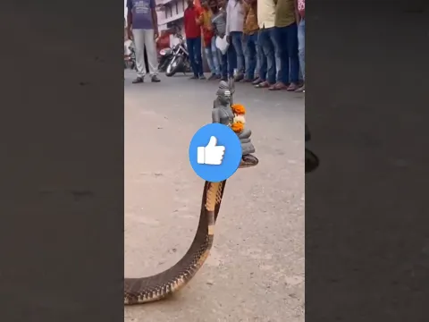 🙏Snake Shiva🙏 #telugu #telugushorts #shiva #chaganti #chagantikoteswararao #garikapati #kashi