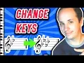 The Beginner s Guide to Modulations