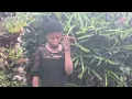 Download Lagu Leven alsof er geen morgen is
