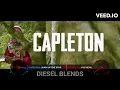 Capleton - Burn Up The Streets ft Hieroglyphics (You Never Knew Remix)