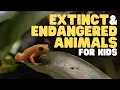 Extinct and Endangered Animals for Kids What we can do to protect endangered species