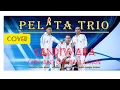 Download Lagu Sandiwara cover pelita trio