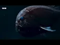 The Wild Side of Our Planet | Narrated by David Attenborough | BBC Earth