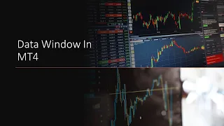 Data Window In MT4 Masterclass MT4