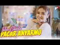 Download Lagu INTAN CHACHA - PACAR ANYARMU (BLITAR SANAN WETAN)