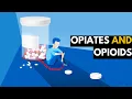 Opiates and Opioids The Dangerous Reality of Prescription Drugs