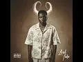 Download Lagu Yanga Chief - What If?(Mngani)(Official Audio)