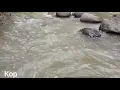 Download Lagu Melihat keindahan sungai