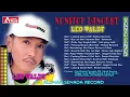 Download Lagu kumpulan lagu leo waldy