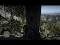 Chick s Treasure Map Location and Solution Red Dead Redemption 2 Guide