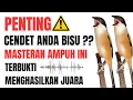 Download Lagu MASTERAN CENDET FULL ISIAN MEWAH TERBUKTI MENGHASILKAN JUARA | ISIAN MEWAH PENDET