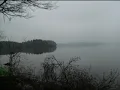 Valse Triste Op 44, Jean Sibelius