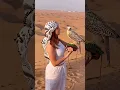 Desert Safari Dubai 🦅🦅#falcon #desertsafari #travel #deserttour #foryou #dubai #viralshort #views