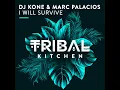I Will Survive (Radio Edit)