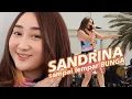 Download Lagu Sandrina - Habis Minum Apa Live di Inbox, Rameee Poollll