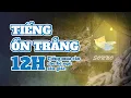Download Lagu Tiếng Ồn Trắng Mưa Rơi ♫ 12h Tiếng Ồn Trắng Cho Bé Sơ Sinh Ngủ Sâu Giấc | Rain Sounds for sleeping