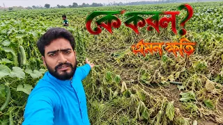 কেমনে পারলি ভাই এমন করতে ?