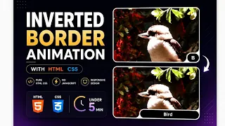 Inverted Border Animation with HTML CSS No JavaScript Under 5 Minutes
