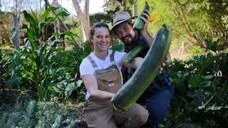 5 Delicious Zucchini Recipes from Our Homestead | Featuring a Giant Zucchini!