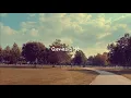 Genesis 16 - NIV BIBLE TEXT